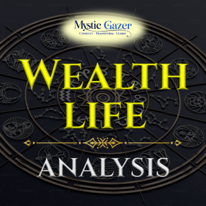 Wealth Analysis